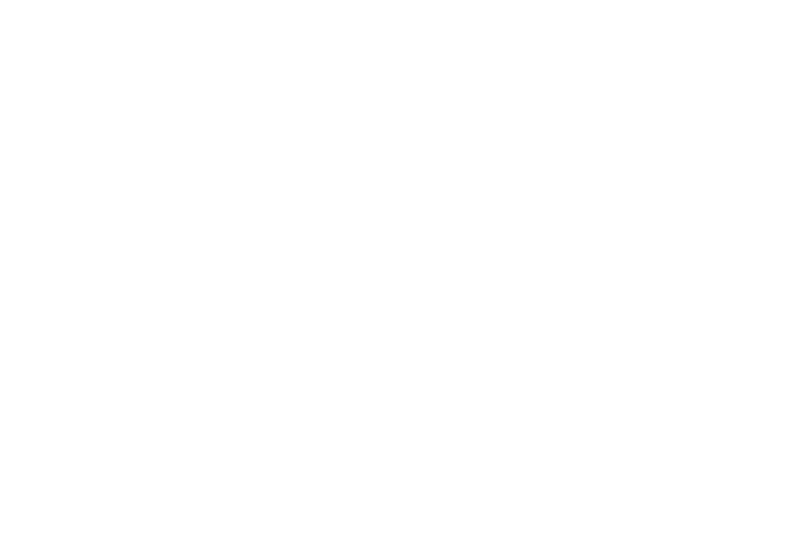 FSM UZEM